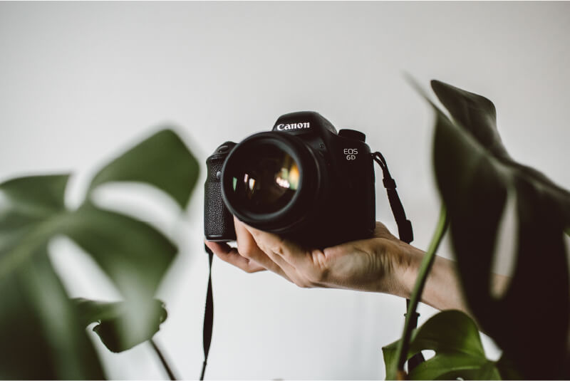 image of a hand holding up a DSLR Camera surrounded by a couple of leaves
